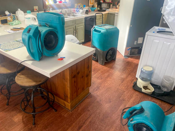 Best Commercial water damage restoration  in Icard, NC