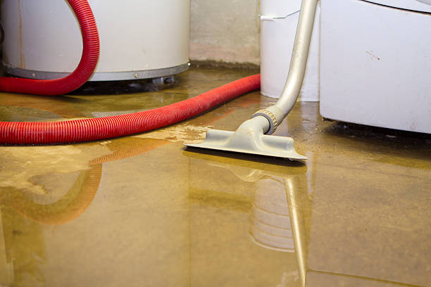Best Water damage contractors near me  in Icard, NC
