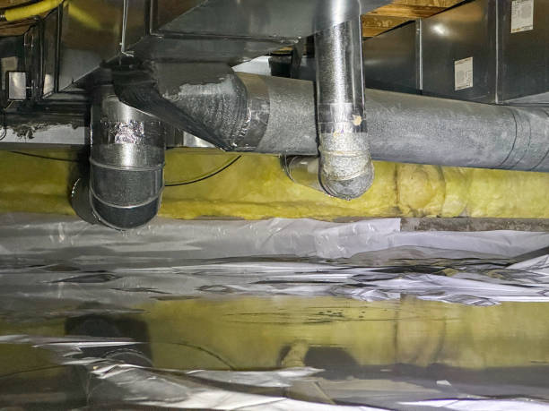 Best Flooded house restoration  in Icard, NC